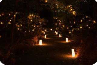 NAMI Luminary Walk 2026