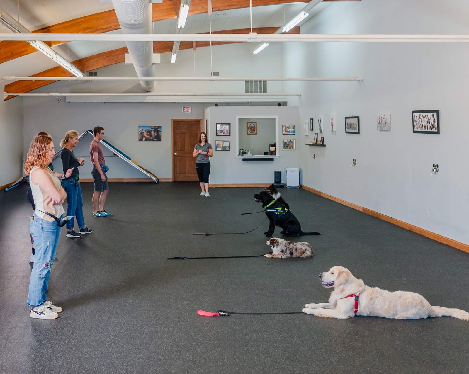Go Over Rover Dog Training LLC — photo 3