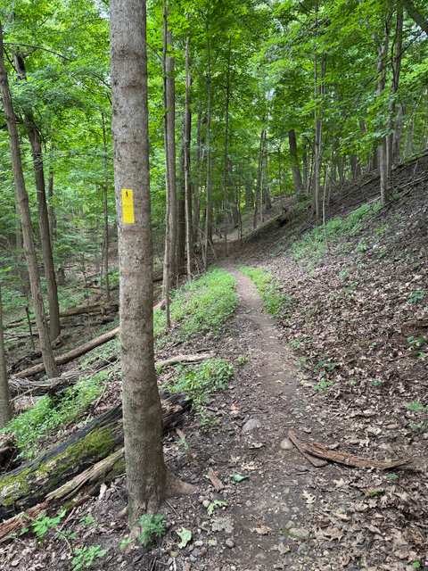 West Bend IAT Segment Trailhead — photo 3