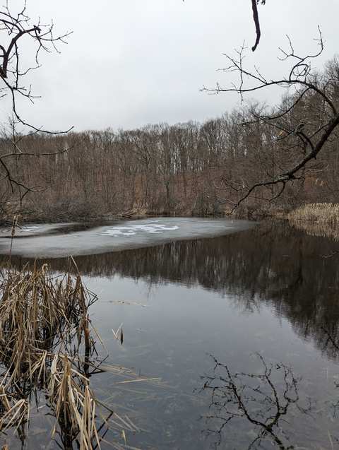 West Bend IAT Segment Trailhead — photo 4
