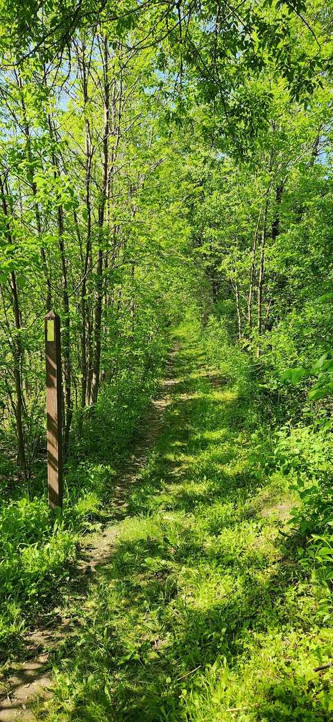 Ice Age Trail West Bend Trailhead — photo 3
